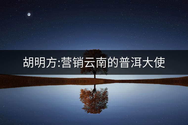胡明方:營銷云南的普洱大使 胡明方:營銷云南的普洱大使