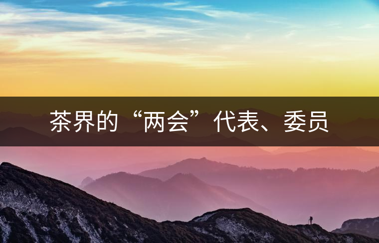 茶界的“兩會(huì)”代表、委員