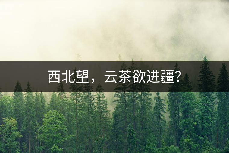 西北望，云茶欲進疆？