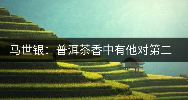 馬世銀:普洱茶香中有他對(duì)第二故鄉(xiāng)的情 馬世銀:普洱茶香中有他對(duì)第二故鄉(xiāng)的情