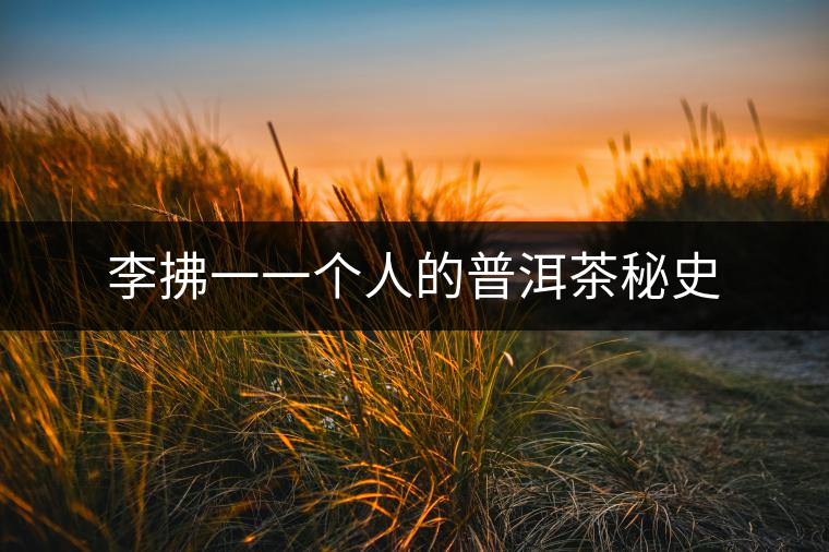 李拂一一個人的普洱茶秘史 李拂一一個人的普洱茶秘史