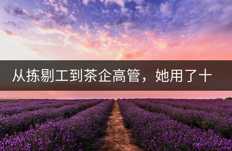 從揀剔工到茶企高管，她用了十年時間