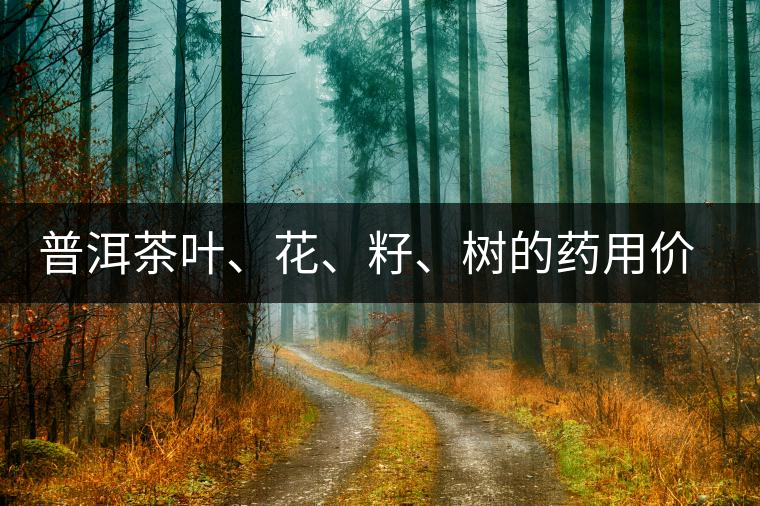 普洱茶葉、花、籽、樹的藥用價(jià)值