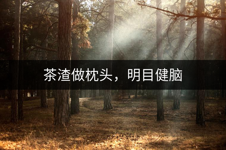 茶渣做枕頭，明目健腦