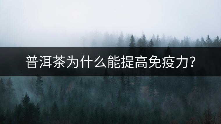 普洱茶為什么能提高免疫力？