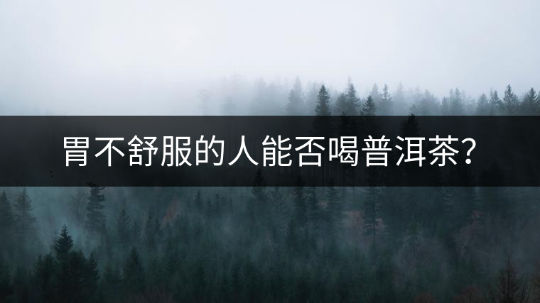 胃不舒服的人能否喝普洱茶？