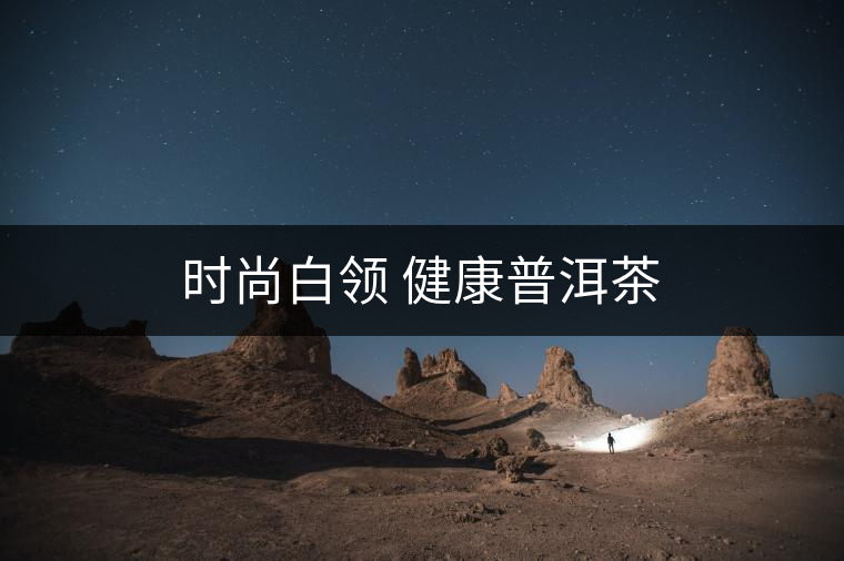 時尚白領(lǐng) 健康普洱茶 時尚白領(lǐng) 健康普洱茶