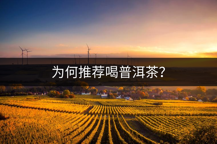 為何推薦喝普洱茶？