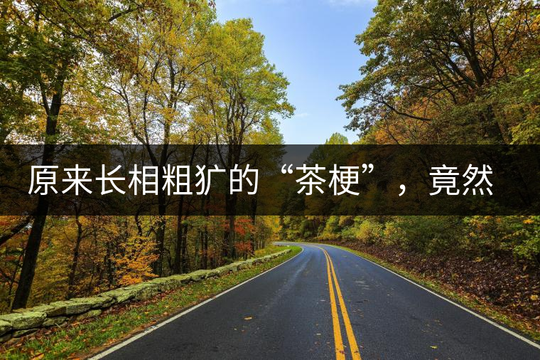 原來長相粗獷的“茶?！保谷贿€有這么多的作用