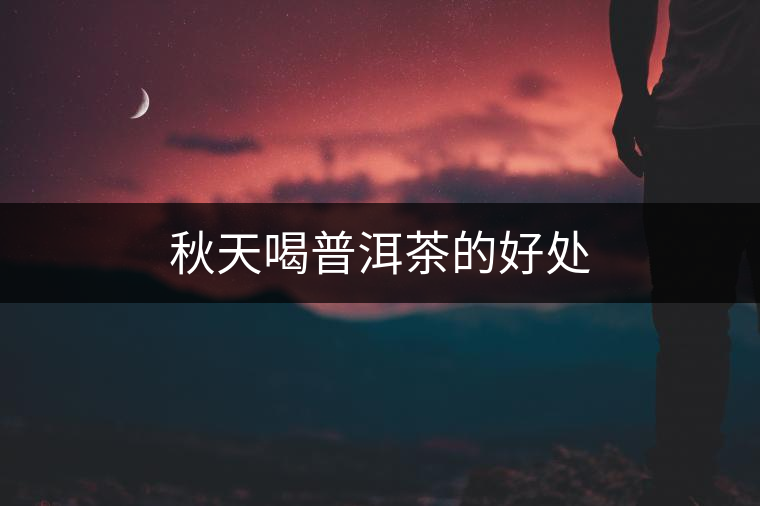 秋天喝普洱茶的好處