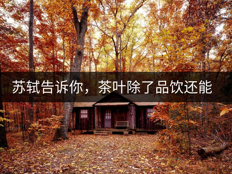 蘇軾告訴你，茶葉除了品飲還能做什么？