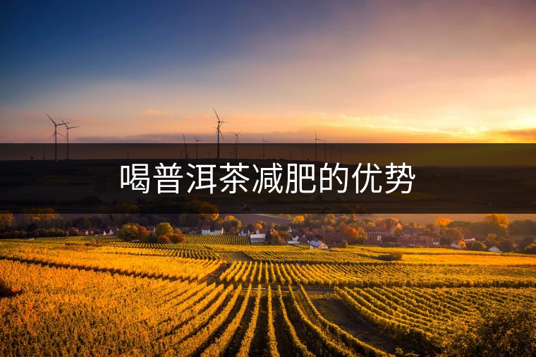 喝普洱茶減肥的優(yōu)勢 喝普洱茶減肥的優(yōu)勢