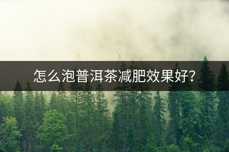 怎么泡普洱茶減肥效果好？