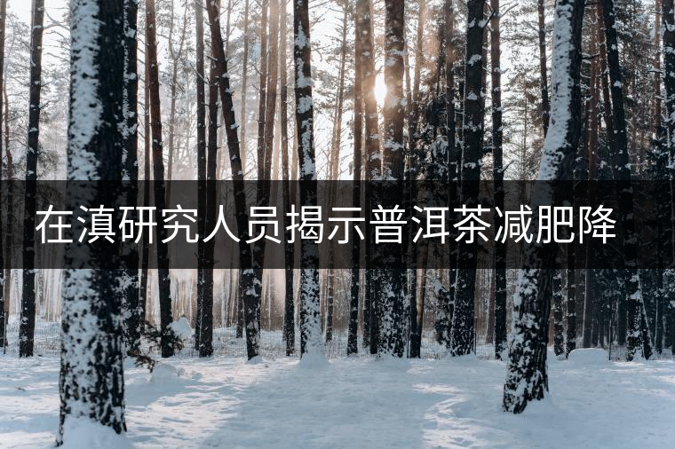 在滇研究人員揭示普洱茶減肥降脂機制 在滇研究人員揭示普洱茶減肥降脂機制