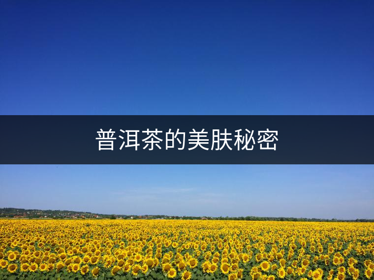 普洱茶的美膚秘密