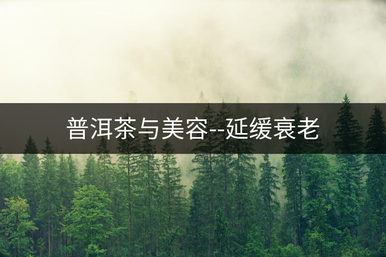 普洱茶與美容--延緩衰老 普洱茶與美容--延緩衰老