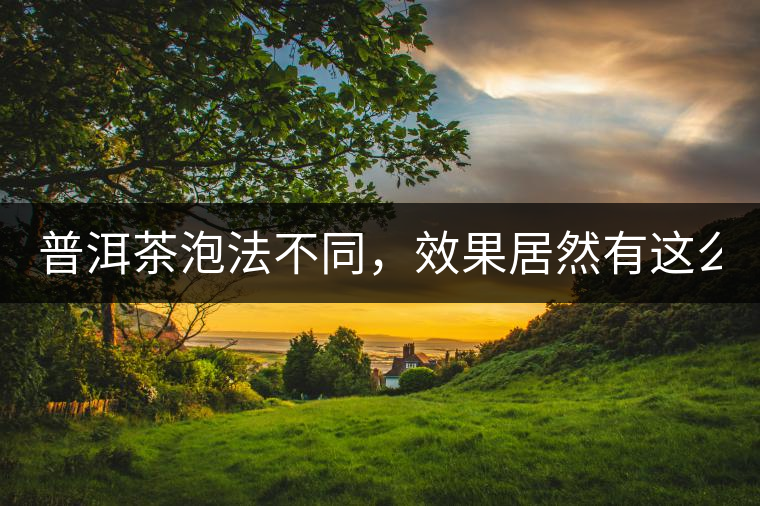 普洱茶泡法不同，效果居然有這么大區(qū)別！