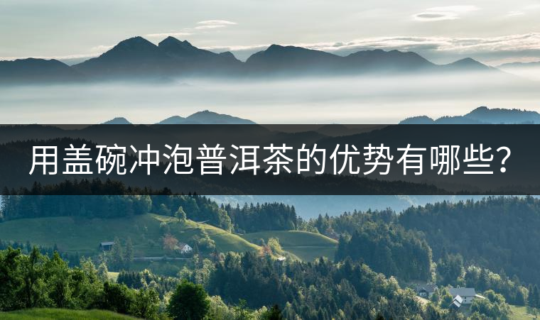 用蓋碗沖泡普洱茶的優(yōu)勢有哪些？