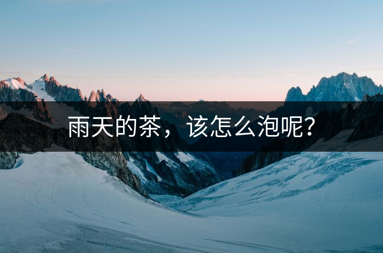 雨天的茶，該怎么泡呢？