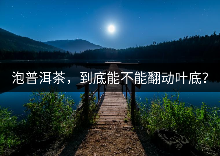 泡普洱茶，到底能不能翻動(dòng)葉底？