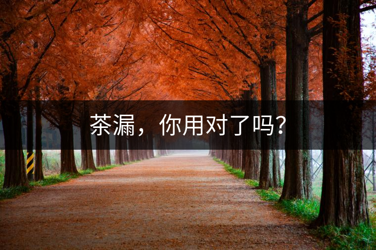 茶漏，你用對(duì)了嗎？