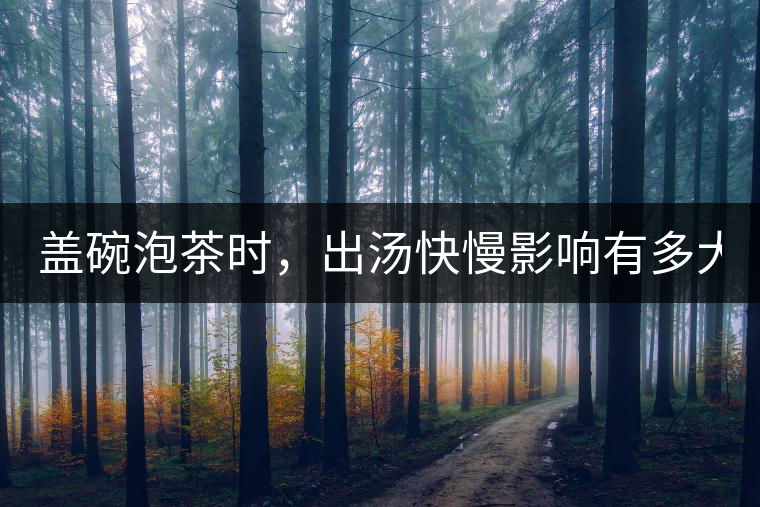 蓋碗泡茶時，出湯快慢影響有多大？