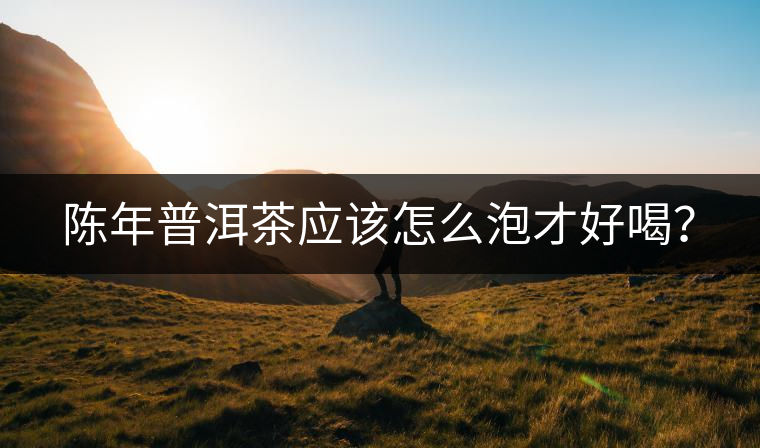 陳年普洱茶應(yīng)該怎么泡才好喝？