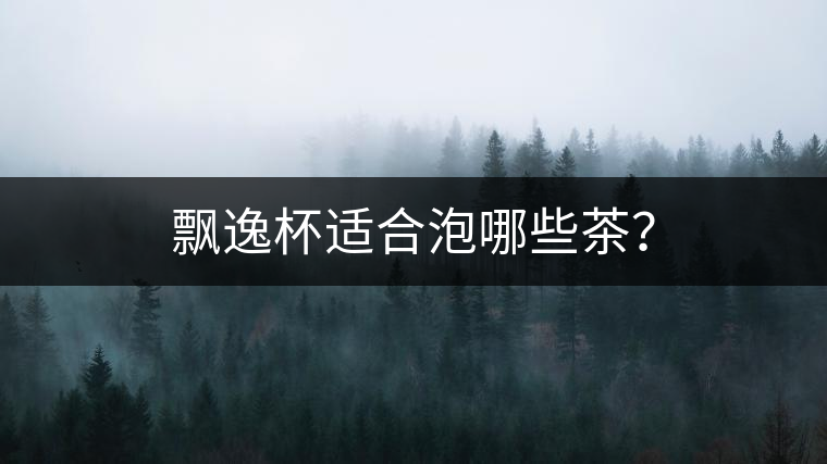 飄逸杯適合泡哪些茶？