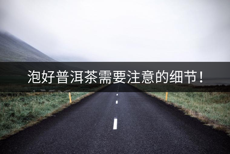 泡好普洱茶需要注意的細(xì)節(jié)！