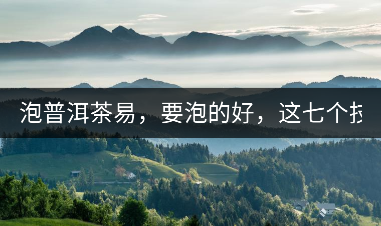 泡普洱茶易，要泡的好，這七個技巧很重要！