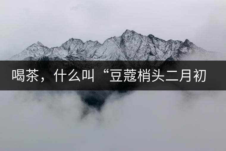喝茶，什么叫“豆蔻梢頭二月初”？