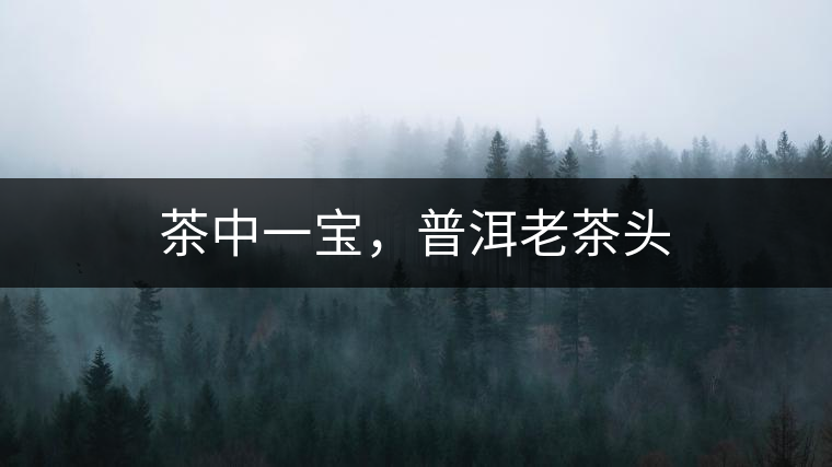 茶中一寶，普洱老茶頭