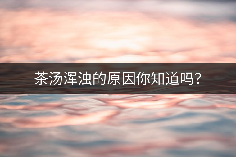 茶湯渾濁的原因你知道嗎？