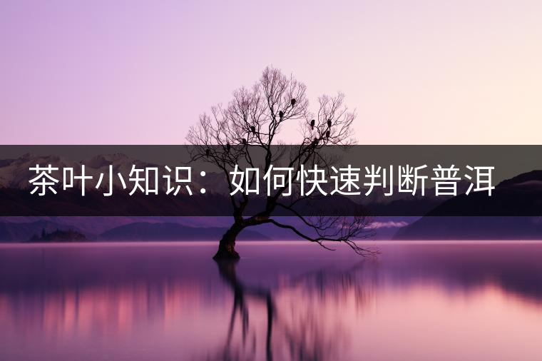 茶葉小知識(shí)：如何快速判斷普洱茶品級(jí)高低？