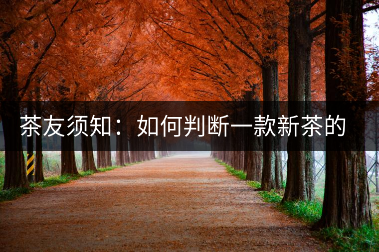 茶友須知：如何判斷一款新茶的陳化潛力？