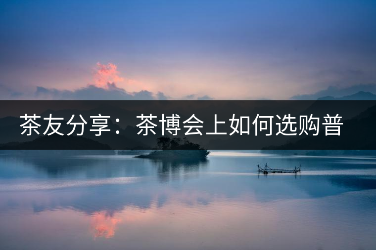 茶友分享：茶博會(huì)上如何選購(gòu)普洱茶？