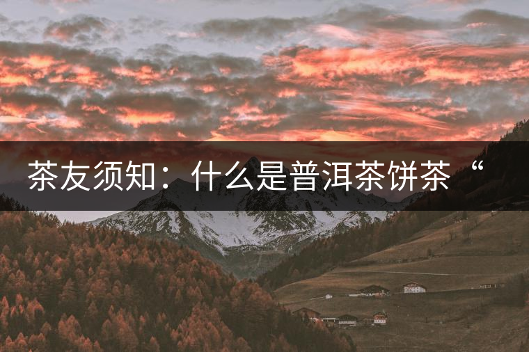 茶友須知：什么是普洱茶餅茶“八病”？如何鑒別？