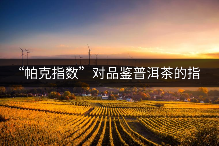 “帕克指數(shù)”對品鑒普洱茶的指導意義在哪里？「跨界有道」