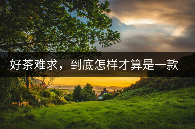 好茶難求，到底怎樣才算是一款好普洱茶？