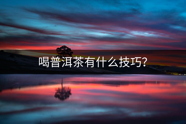 喝普洱茶有什么技巧？