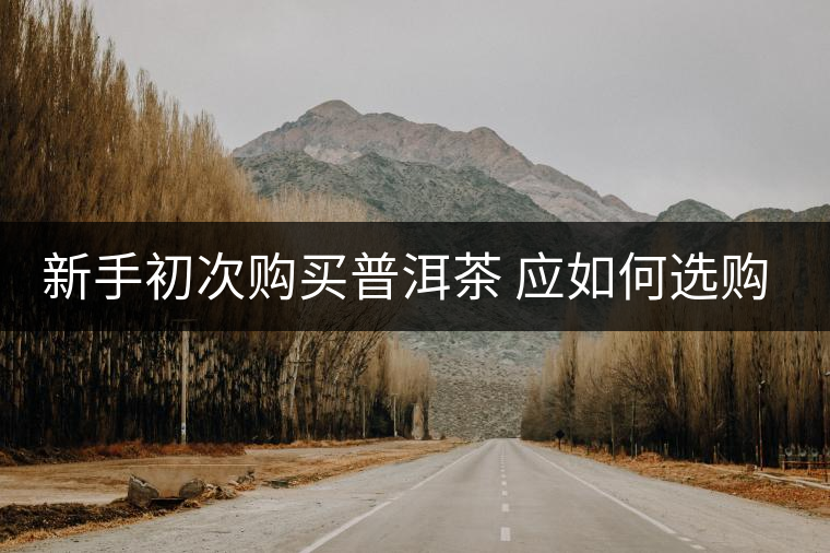新手初次購買普洱茶 應(yīng)如何選購？