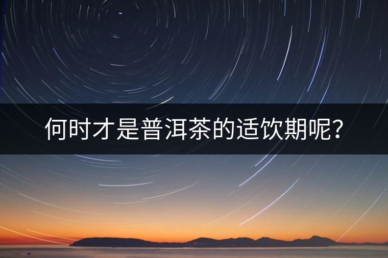 何時才是普洱茶的適飲期呢？