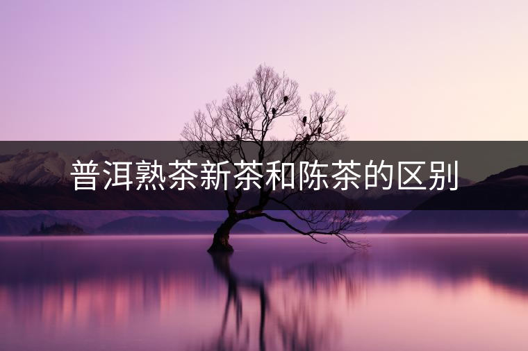 普洱熟茶新茶和陳茶的區(qū)別