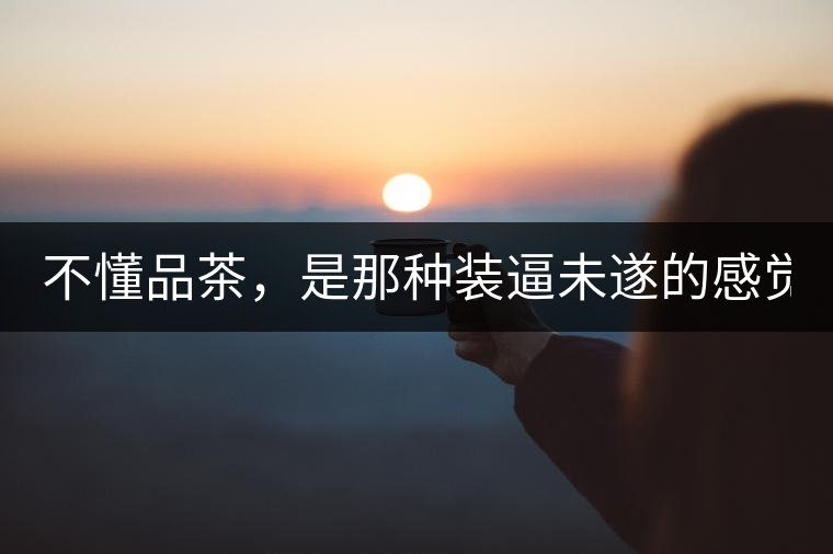 不懂品茶，是那種裝逼未遂的感覺？