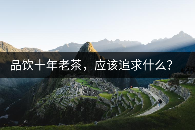 品飲十年老茶，應(yīng)該追求什么？滋味還是故事？