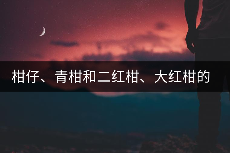 柑仔、青柑和二紅柑、大紅柑的區(qū)別，你可知道？