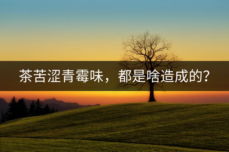 茶苦澀青霉味，都是啥造成的？