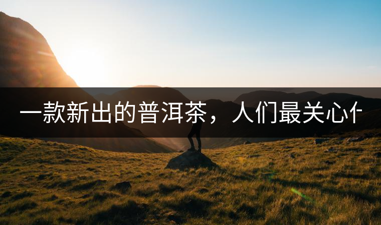 一款新出的普洱茶，人們最關(guān)心什么?