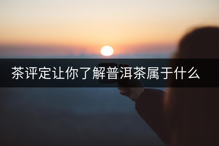 茶評定讓你了解普洱茶屬于什么茶系？