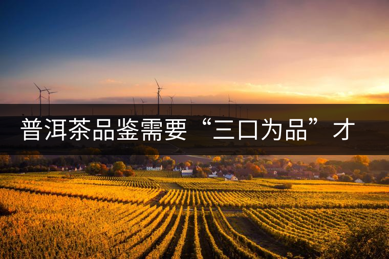 普洱茶品鑒需要“三口為品”才真實，那從哪里入手品鑒呢？